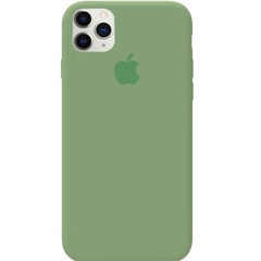 Чохол Silicone Case Full Protective (AA) для Apple iPhone 11 Pro Max (6.5"), Зелений / Spearmint