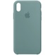 Чехол Silicone Case (AA) для Apple iPhone X (5.8") / XS (5.8") Зеленый / Cactus