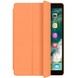 Чехол (книжка) Smart Case Series для Apple iPad 10.2" (2019) / Apple iPad 10.2" (2020)
