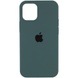 Чохол Silicone Case Full Protective (AA) для Apple iPhone 12 Pro Max (6.7 "), Зелений / Cactus