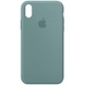 Чохол Silicone Case Full Protective (AA) для Apple iPhone X (5.8 ") / XS (5.8"), Зелений / Cactus