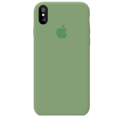 Чехол Silicone Case Full Protective (AA) для Apple iPhone XR (6.1") Зеленый / Spearmint
