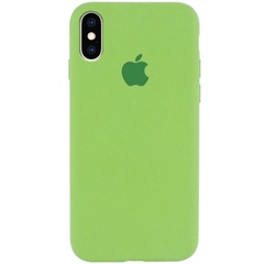 Чехол Silicone Case Full Protective (AA) для Apple iPhone X (5.8") / XS (5.8") Мятный / Mint
