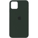 Чохол Silicone Case Full Protective (AA) для Apple iPhone 12 Pro Max (6.7 "), Зелений / Cyprus Green